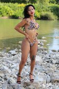Foto Immagine Adriana Paulett Trans 3891399263 - 81