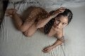 Foto Immagine Akita Trans Asiatica Trans Padova 3894245796 - 7