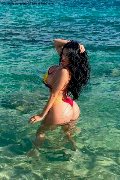 Foto Immagine Alessandre Xxii Trans Gallarate 3317852006 - 39