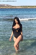 Foto Immagine Alessandre Xxii Trans Gallarate 3317852006 - 57