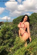 Foto Immagine Alessandre Xxii Trans Gallarate 3317852006 - 34