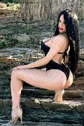 Foto Immagine Alessandre Xxii Trans Gallarate 3317852006 - 61