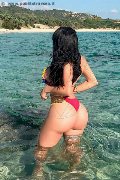 Foto Immagine Alessandre Xxii Trans Gallarate 3317852006 - 44