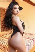 Foto Immagine Angel Bunny Trans Milano 3474642611 - 28