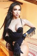 Foto Immagine Angel Bunny Trans Milano 3474642611 - 29