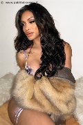 Foto Immagine Angel Bunny Trans Milano 3474642611 - 27