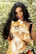 Foto Immagine Ariadna Trans Bologna 3887519396 - 62