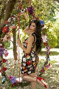 Foto Immagine Ariadna Trans Bologna 3887519396 - 76