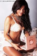 Foto Immagine Belle Tigresse Trans Cagliari 3520043878 - 9