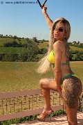 Foto Immagine Bruna Xxl Trans Pavia 3295914684 - 5