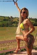 Foto Immagine Bruna Xxl Trans Pavia 3295914684 - 4