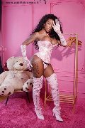 Foto Immagine Campbell Trans Padova 3933357541 - 18