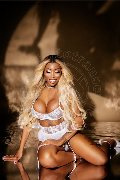 Foto Immagine Campbell Trans Padova 3933357541 - 100