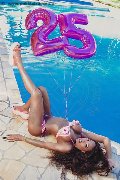 Foto Immagine Campbell Trans Porto 3933357541 - 156