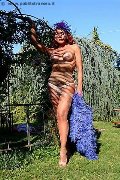 Foto Immagine Claudia B. Trans Milano 3425725367 - 44