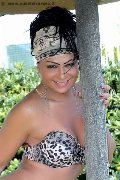 Foto Immagine Daysy Trans Gallarate 3393389602 - 1