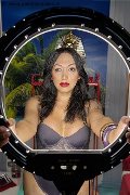 Foto Immagine Desirre Trans Reggio Calabria 3922832689 - 7