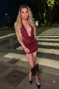 Foto Immagine Duda Castro Trans Milano 3293898373 - 49