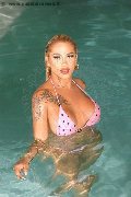 Foto Immagine Gaja Trans Ibiza 0034674836068 - 24