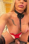 Foto Immagine Hot Nicoly Trans Bruxelles 3293358987 - 14