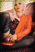 Foto Immagine Hot Trans Evolution Trans Bari 3911863087 - 52