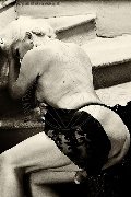 Foto Immagine Hot Trans Evolution Trans Bari 3911863087 - 57
