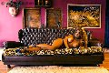 Foto Immagine Jessica Aryani Trans Brescia 3932507943 - 23