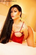 Foto Immagine Kim Tifany Trans Amsterdam 3447063881 - 99