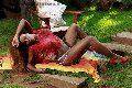 Foto Immagine Leonna Pantera Trans Roma 3311701971 - 51
