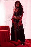 Foto Immagine Luciana Hot Trans Bergamo 3397674731 - 19