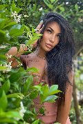Foto Immagine Mandy Asiatica Trans Como 3270531479 - 5