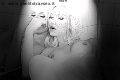 Foto Immagine Mary Ts Trans Francoforte 00491751281117 - 7