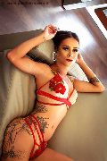 Foto Immagine Moana Trans Vicenza 3270621849 - 24