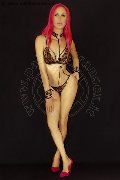 Foto Immagine Nady Trans Vicenza 3338758341 - 143