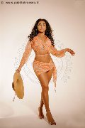 Foto Immagine Natyelle Ninfeta Trans Roma 3891178249 - 37