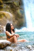 Foto Immagine Nicolly Di Biaggi Trans Montebelluna 3891353499 - 45