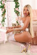 Foto Immagine Nicoly Trans Bruxelles 3293358987 - 14