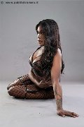 Foto Immagine Nimat Trans Roma 3519905819 - 4