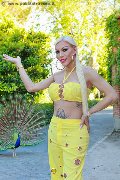 Foto Immagine Nina La Divina Trans Ibiza 0034617911341 - 18