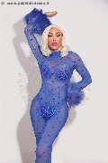 Foto Immagine Nina La Divina Trans Ibiza 0034617911341 - 78