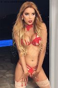 Foto Immagine Rayca Trans Berna 3485638746 - 174