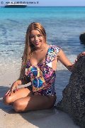 Foto Immagine Rayca Trans San Gallo 3485638746 - 205