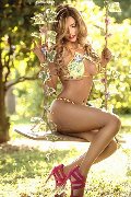 Foto Immagine Rayca Trans San Gallo 3485638746 - 281