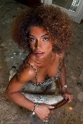 Foto Immagine Riccia Trans Torino 3663044467 - 14