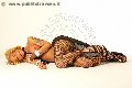 Foto Immagine Robby Trans Roma 3336677555 - 5