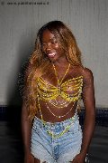 Foto Immagine Safira Snt'z  Trans Alba Adriatica 3278243596 - 21