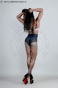 Foto Immagine Safira Snt'z  Trans Alba Adriatica 3278243596 - 49