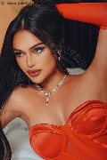 Foto Immagine Sammi Asiatica Trans Milano 3926226622 - 3