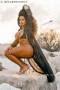 Foto Immagine Sandra Ravach Trans Reggio Emilia 3341547195 - 12