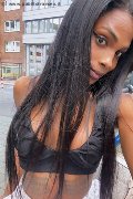 D�sseldorf Transex Adhara  004915212409124 foto selfie 14